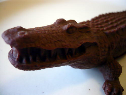 chocolate crocodile