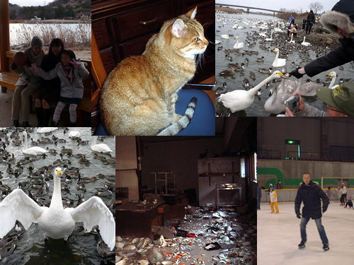 Fukushima New Year's 2008