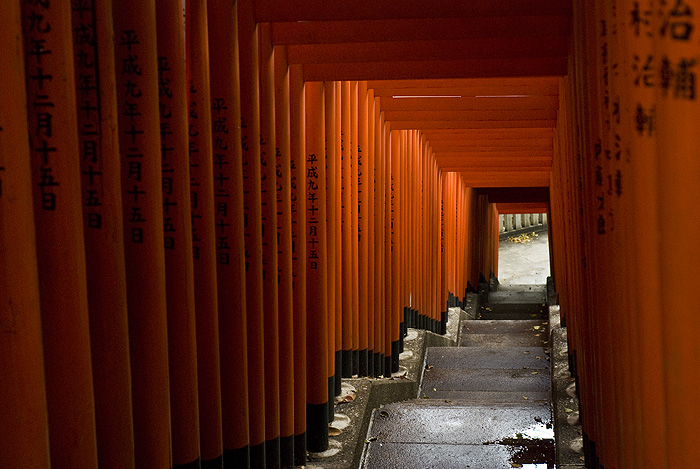 hie shrine akasaka torii gate