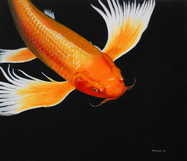 koi orange carp painting