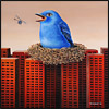blue bird nest buildings surrealism