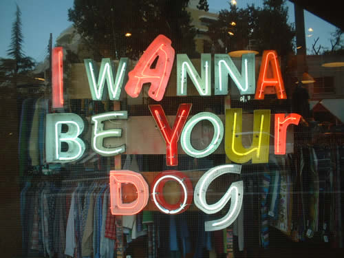 i wanna be your dog