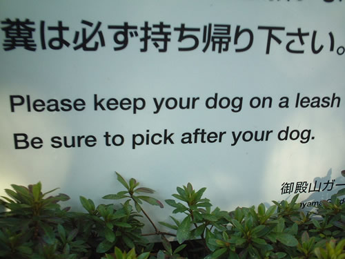 pick after your dog